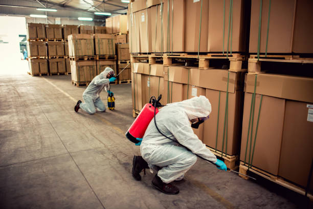 Professional Pest Control in Ridge, NY