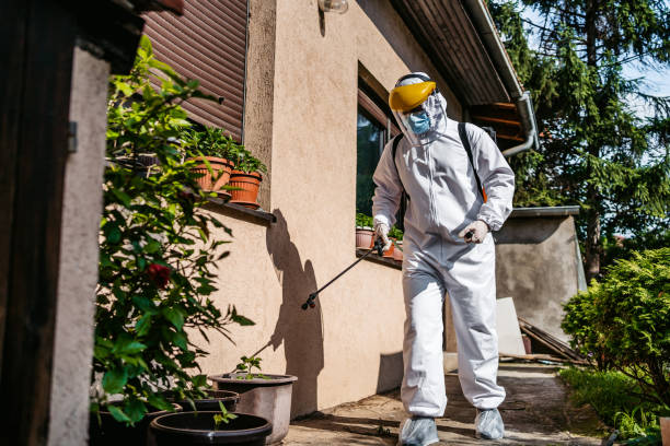 Best Local Pest Control Services  in Ridge, NY