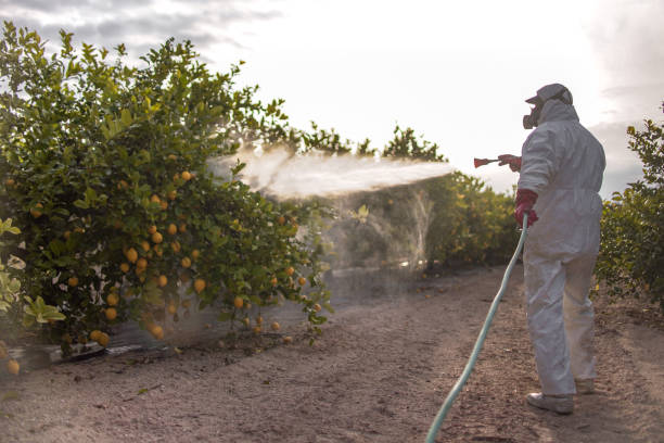  Ridge, NY Pest Control Pros
