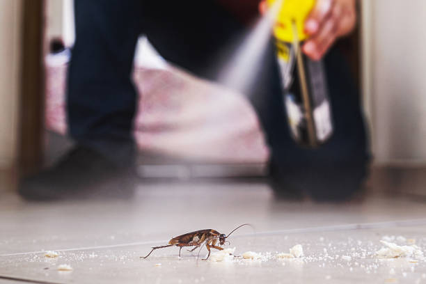 Pest Control Cost in Ridge, NY