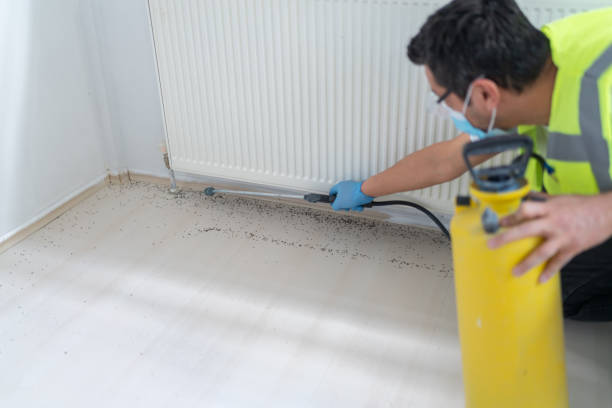 Best Pest Control Cost  in Ridge, NY