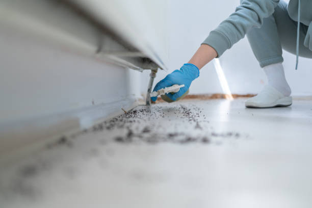 Best Pest Removal Services  in Ridge, NY